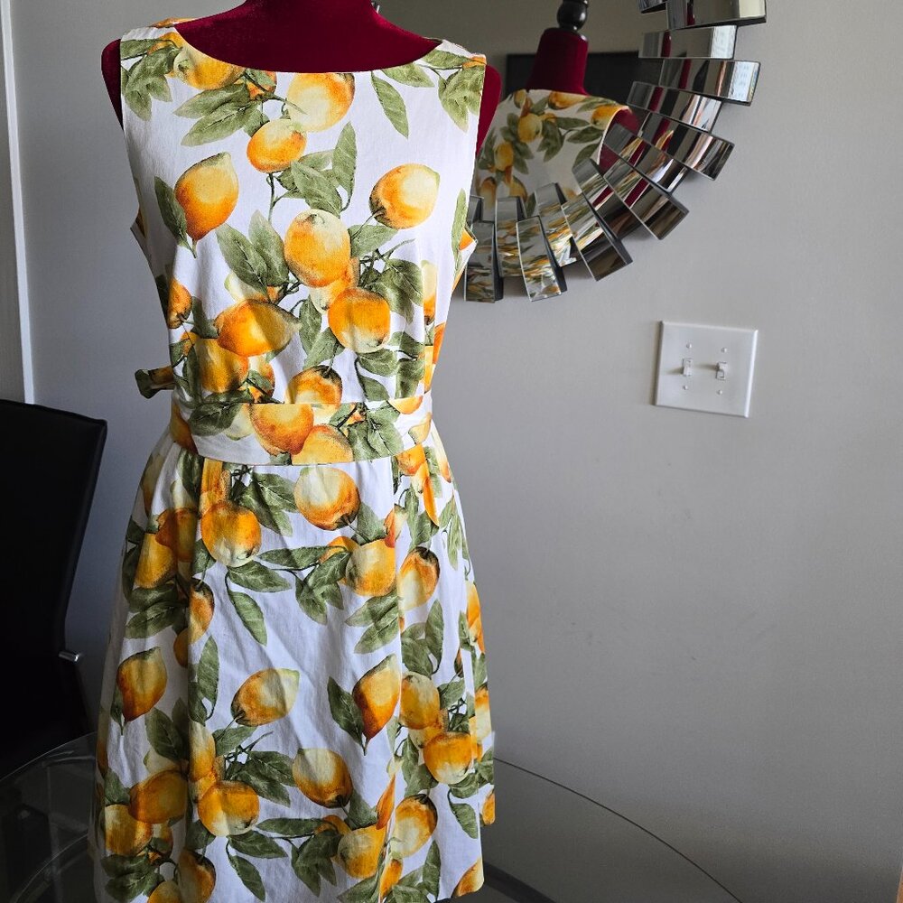 Anne Klein Limonata Dress